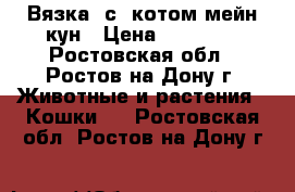 Вязка  с  котом мейн-кун › Цена ­ 10 000 - Ростовская обл., Ростов-на-Дону г. Животные и растения » Кошки   . Ростовская обл.,Ростов-на-Дону г.